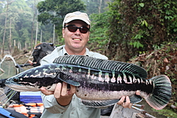 Water Levels?-snakehead-141b.jpg