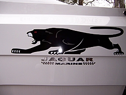 Misc Jaguar photos-jag-graphic.jpg