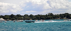 Let's see them.....-142.jpg