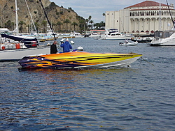 4th Annual Catalina Fun Run Feb 25th-dsc03694.jpg