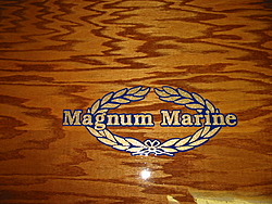 Pics of the new floor............-magnum-119.jpg