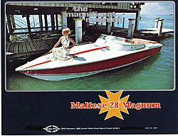 An additional Maltese sales sheet-magnum-28-brochure-p1.jpg