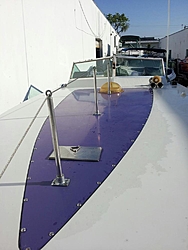 71 Purple Sport-20120521_083259.jpg