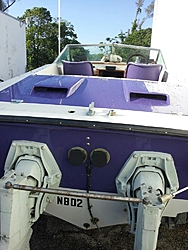 71 Purple Sport-20120521_083232_1.jpg