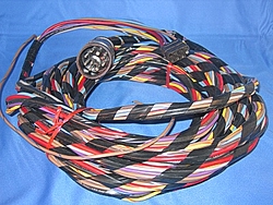 Wiring Harness's-tn_boat_harness.jpg