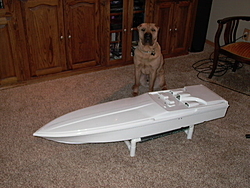 Terry, New Boat!-picture-006.jpg