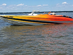 WTB 3600 Super Cat-img_0566.jpg