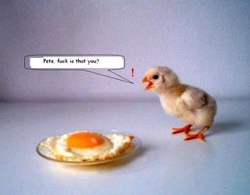 Pirates run for 07-chicken.bmp