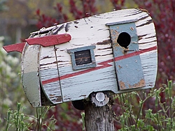 First day out!...Whos in???-birdhouses-006.jpg