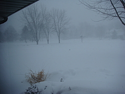 2' of snow-blizzard-2011-pics-005.jpg