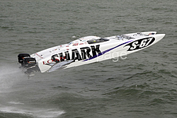 OSS Cat OB-shark_sp_28.jpg