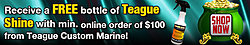 Complimentary Gift of Teague Shine in March!-unnamed.jpg