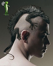 ScottyB final got a hair cut...-creativity-win-hairstyle-fail-lizard.jpg