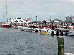 Key West 2011-kw-cat.jpg