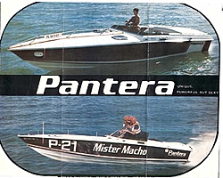 How many Panteras???-1-pantera-brochure-1975.jpg