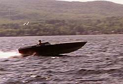 Pantera Rides-pantera-moving.jpg