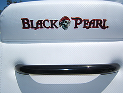 Latest Creation : &quot;Black Pearl&quot; Pantera 24' SE pics.-boat-pics.-235.jpg