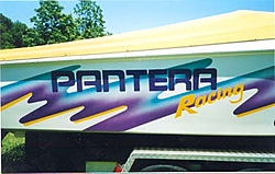 Pantera Logo .......-pantera-paint-scheme.jpg