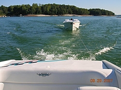 Lake Lanier Panteras-panteratow.jpg