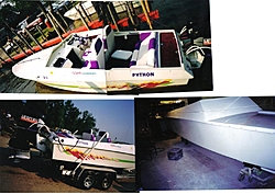 24 Pantera vs 24 Python-python.jpg