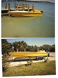 24 Pantera vs 24 Python-pantera.jpg