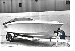 canopy pantera-canopy-pantera2.jpg