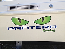 Pantera Eyes-eyes.jpg