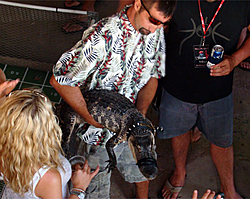 Ticfaw 200 2012-alligator.jpg