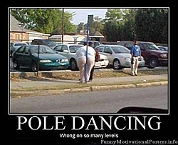 Ticfaw 200 2012-pole-dancing.jpg