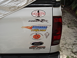 PP Logo-dsc02689.jpg