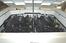 Bimini top?-straps.jpg