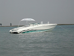 81 Mph-outing1.jpg