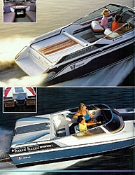 Wellcraft Scarab 1987-1988 sales info-wc-page-42.jpg