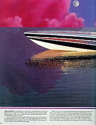 Wellcraft Scarab 1987-1988 sales info-wc-page-48.jpg