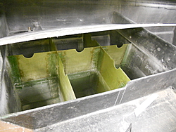 Skater fuel tanks-dscn0507.jpg