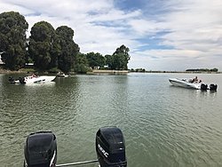 Skater outing-sac-6-3-17-4.jpg