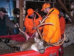 Big Buck-p1010016.jpg