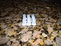 White windscreen grommets?-boating2011-044.jpg
