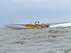 Clear Lake Poker Run in June-tiger.jpg