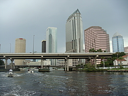 Alafia River/  South Tampa Area-oct-07-118.jpg