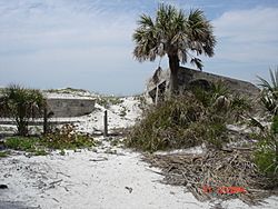 Anna Maria Island-dsc00313.jpg