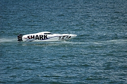 Sarasota Pic's-loan-shark.jpg