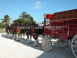 Photos Key West Worlds By Freeze Frame-dscn1786.jpg