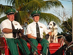 Photos Key West Worlds By Freeze Frame-dscn1847.jpg