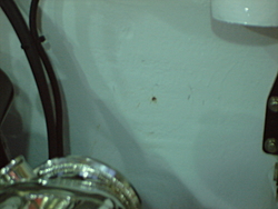 MGD Performance-dsc00358.jpg