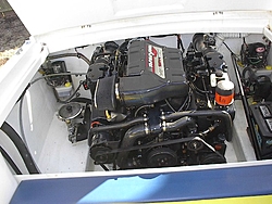 Superbash-502motor.jpg