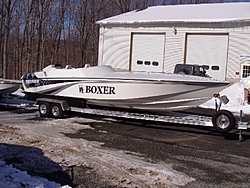 Boxer 31-Paint-sut31%7E7510962.jpg