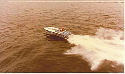 Old Sutphens-busch.jpg