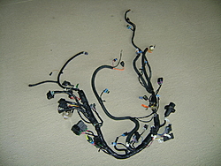 496 HO &amp; Base Wire Harness-dsc00542.jpg