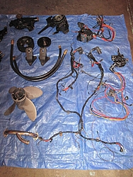 Stocker stuff - starter, oil systems, etc-img_0107.jpg